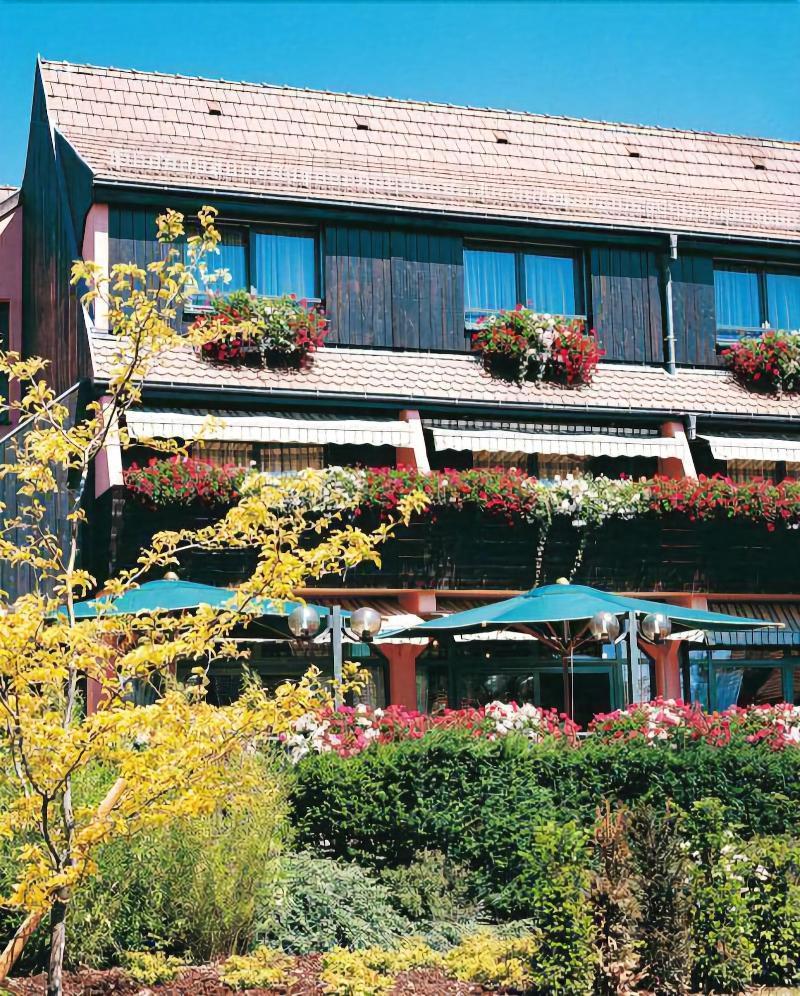 Hotel Le Menestrel Ribeauvillé Zewnętrze zdjęcie